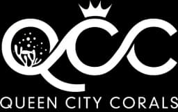 Queen City Corals