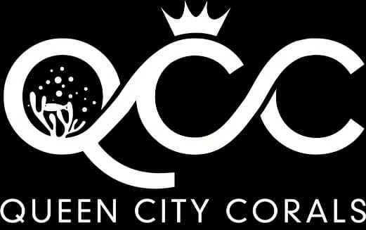 Queen City Corals logo