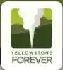 Yellowstone